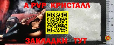 стафф Каменск-Шахтинский