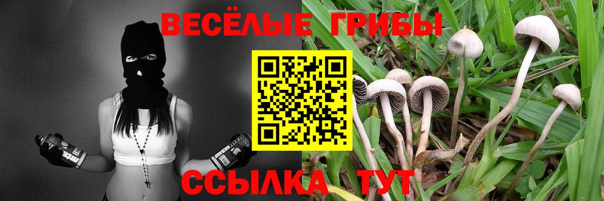 Псилоцибиновые грибы ЛСД Кстово